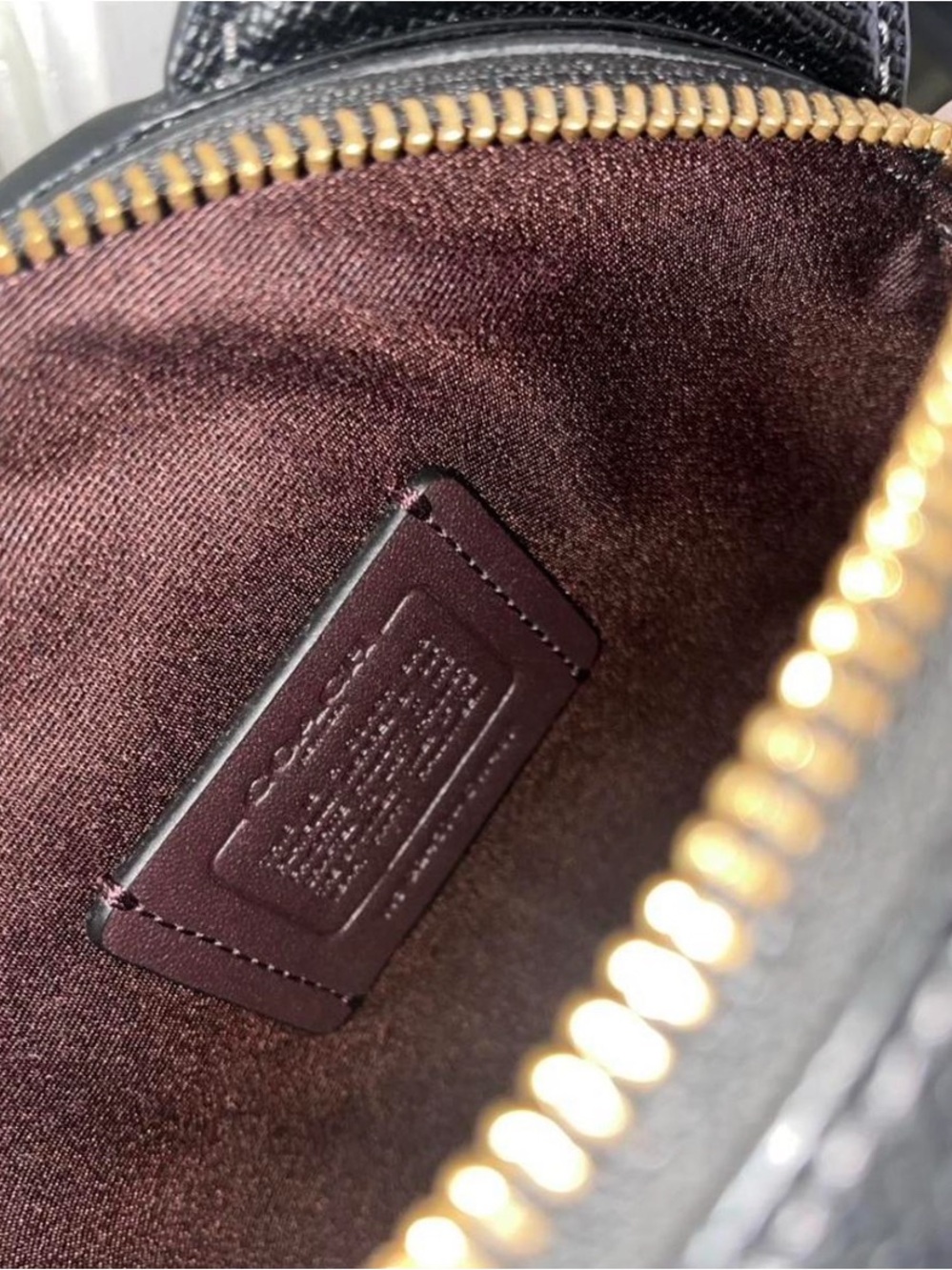Coach Cat Canteen Crossbody NWOT - Picture 6 of 7
